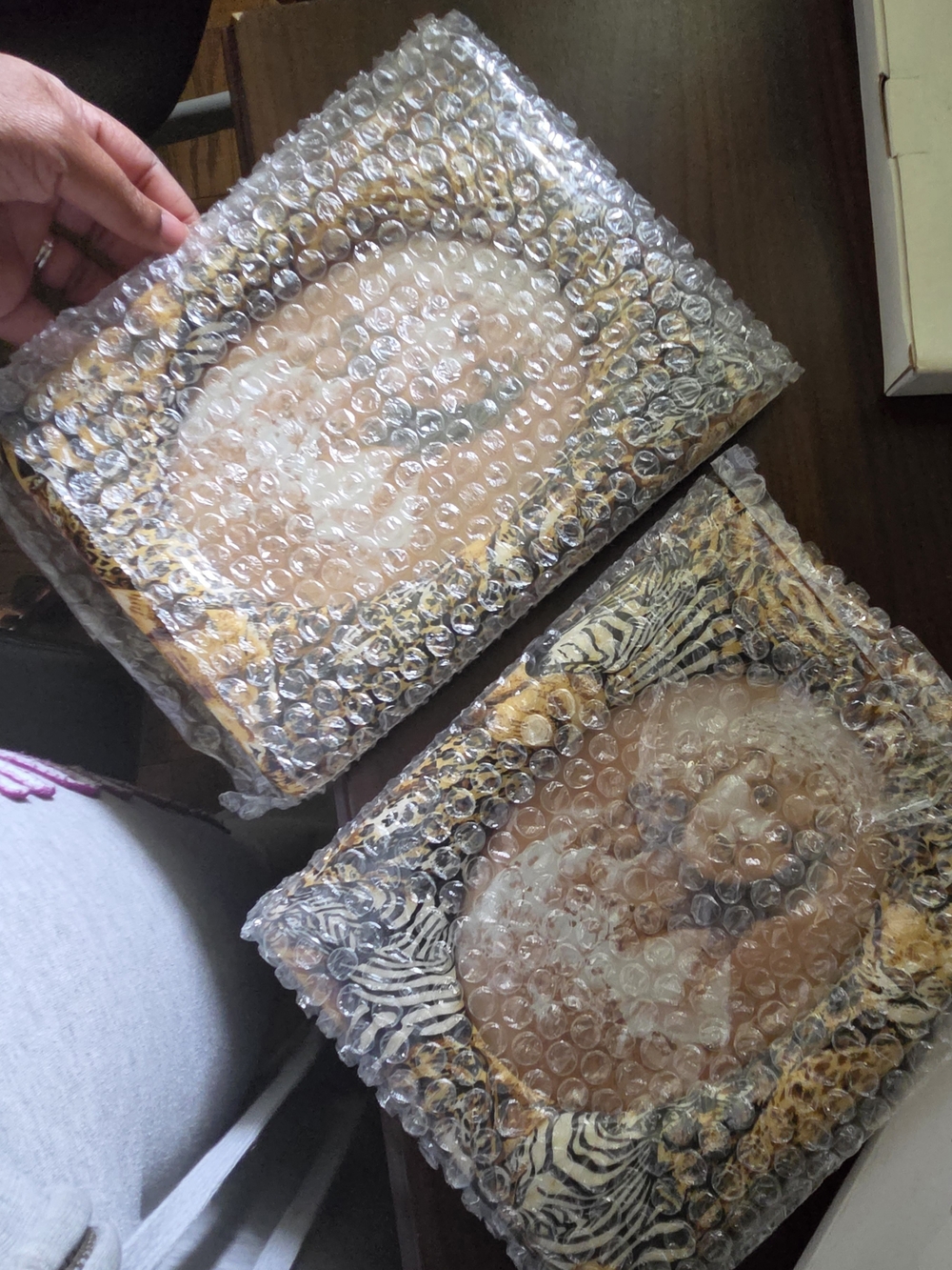 NWTFramed Decorative Portrait Pair in Animal Print Frames - Brown & Black